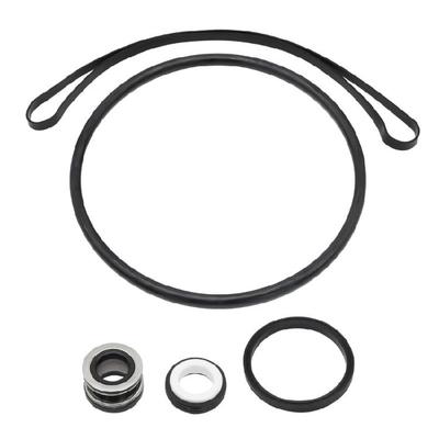 1 Set Sealing Rings and Seal Set Pool Pump Repair Part Replacement Gasket Rubber Texture Suitable for SP3000X Pool Pumps