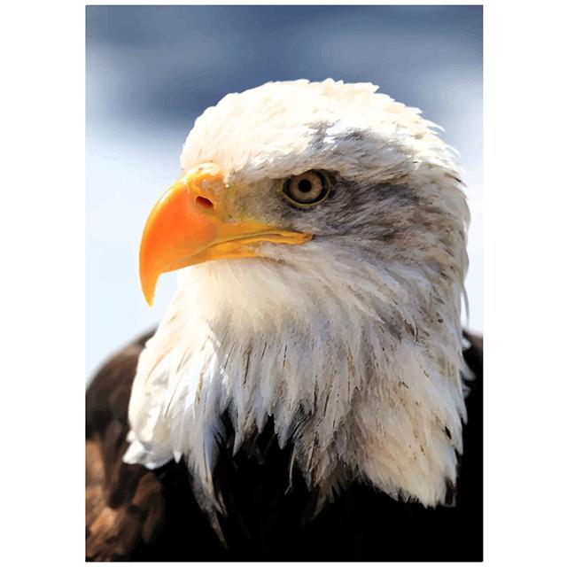 

Wildlife Photography Realistic Nature Prints Poster Canvas Painting Modern Wall Art Pictures For Living Room Bedroom Home Decor 21x30cm No Framed