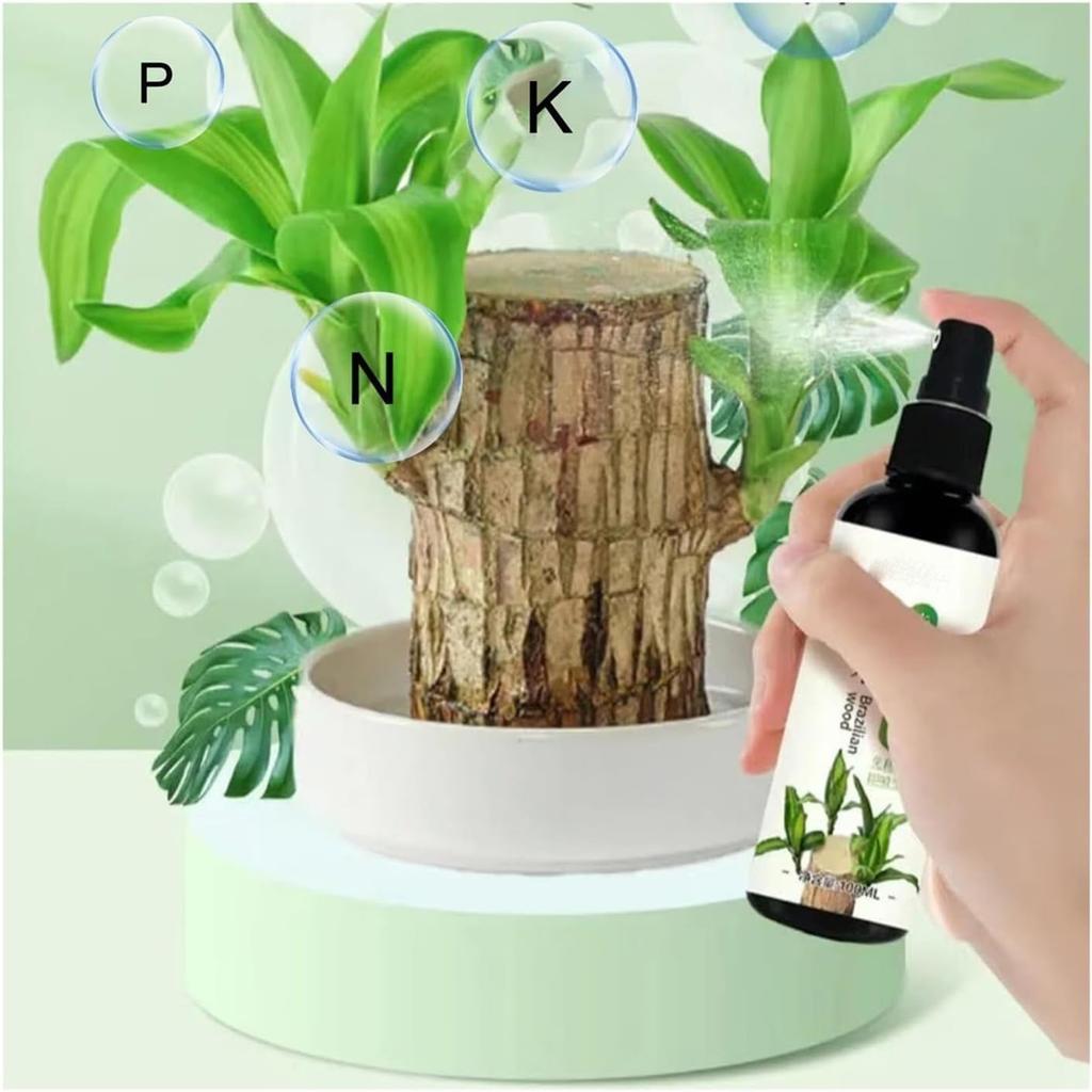 100ml Wood Food Fertilizer For Plants Brazilian Wood Plant Fertilizer For Structural & Foliar Growth. Indoor Plants. Fertilizer