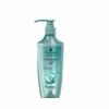 Oil Control Silicone-Free Shampoo