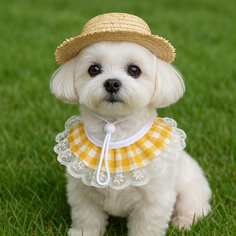 Goose Hat Scarf for Tiny Pets Funny Goose Accessories Hen Top Hat for Rooster Dog Duck Poultry Stylish Show Costume