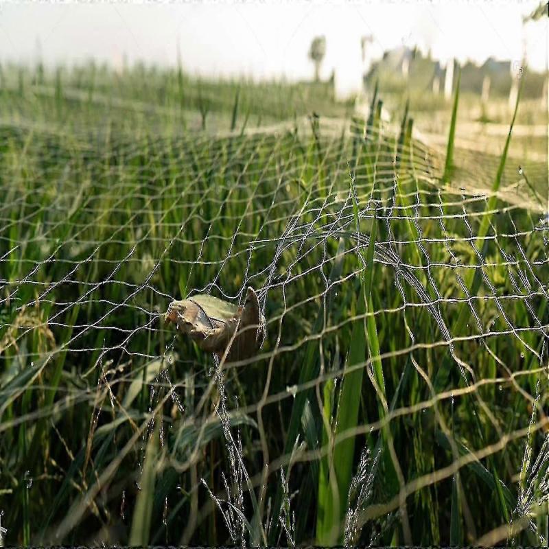 20m X 4m Black Bird Netting, Heavy Duty Bird Netting, Poultry Aviary Netting, Bird Protection Nettin