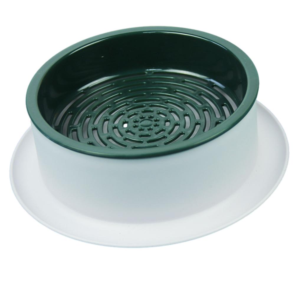 Simple Catgrass Planter Box Portable Catgrass Cultivation Tray For Green Bean