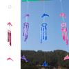 Dolphin Creative Crystal 4 metalowe rurki Windchime Wind Chime Home Decor