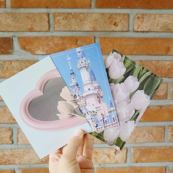 The Nature House Vintage Pink Interior Postcard Set of 30