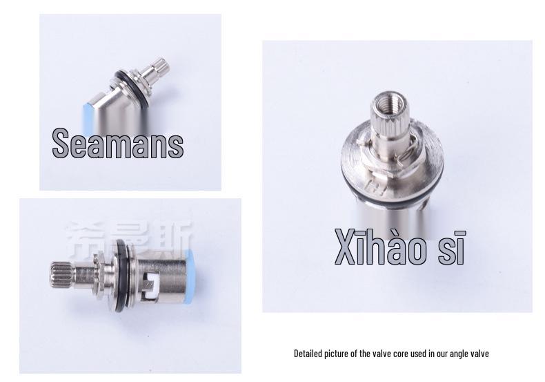 Wall-Mounted Stainless Steel Single Cold Faucet for Kitchen or Laundry Sink