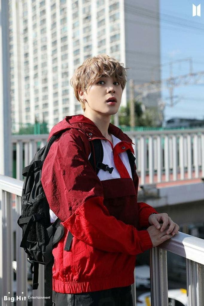[USED] BTS Jimin Master Plush Toy