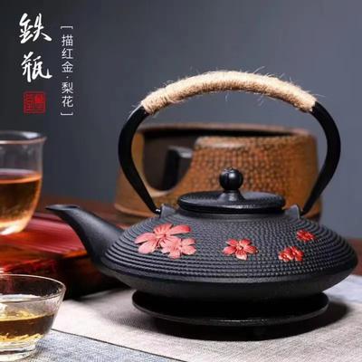 Gusseisen Teekanne Set Japanische Teekanne Tetsubin Kessel Trinkgeschirr KungFu Werkzeuge Edelstahlsieb Teekessel 450ml