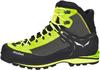 Hiking Shoes Salewa Crow GTX