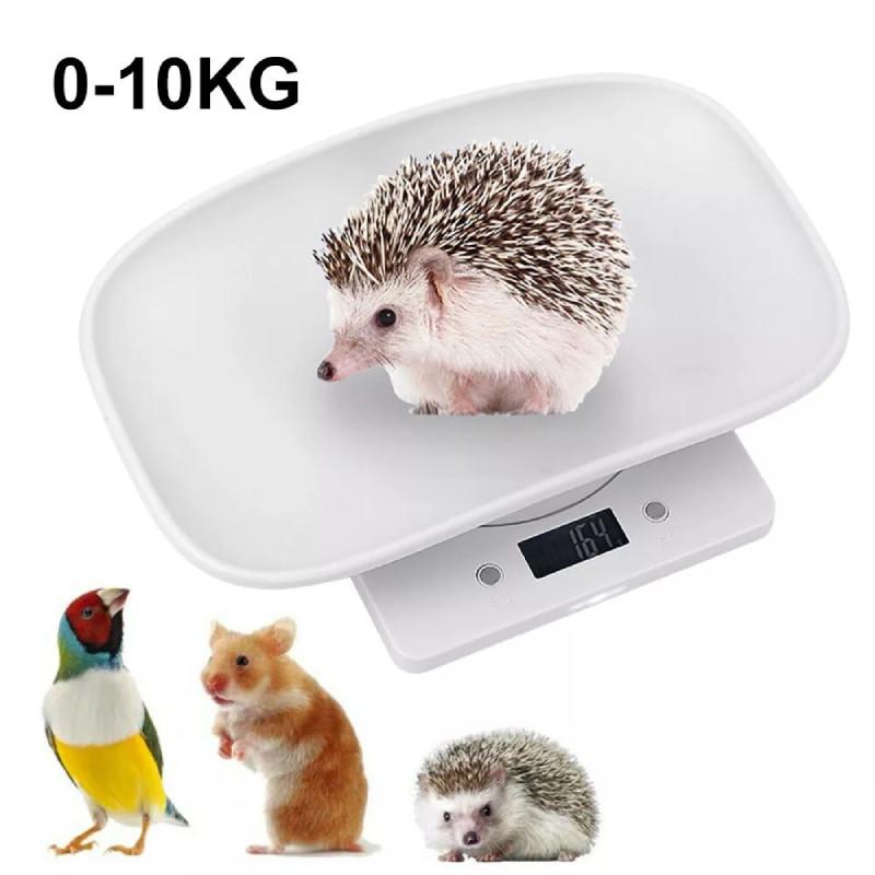 Accurate 10kg Electronic Pet Weighing Scale With Tray For Cats And Small Dogs