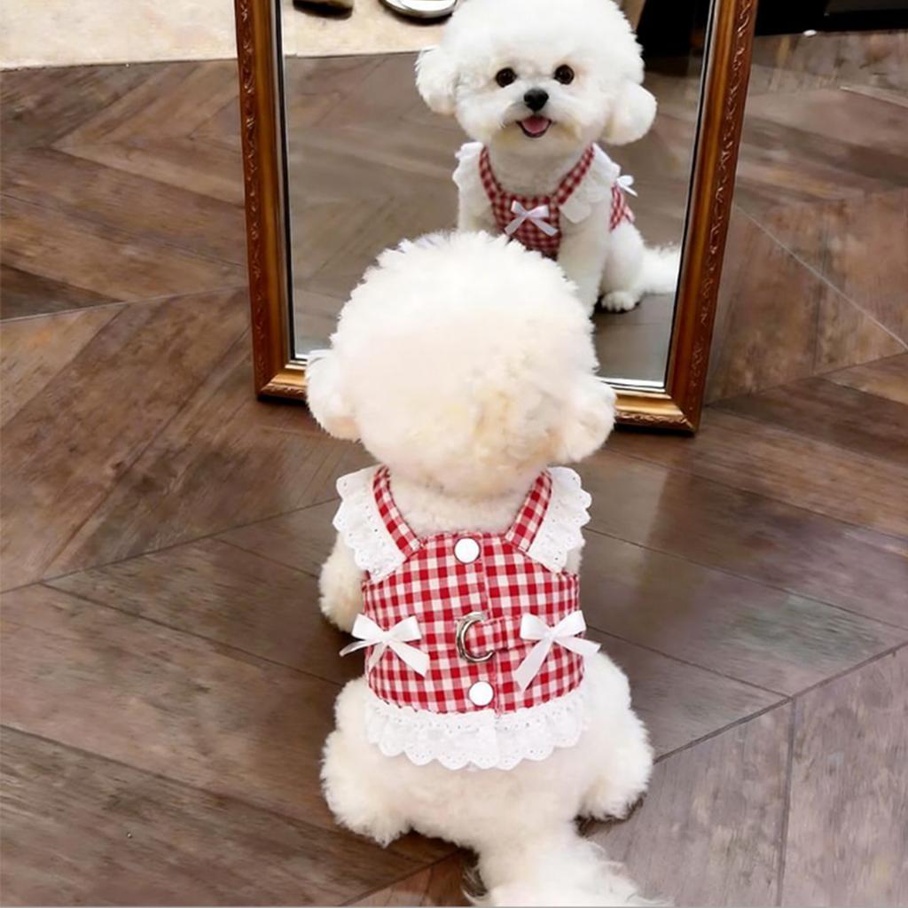 Sun Protection Lace Off-Shoulder Dress Thin Dog Princes Dress Flower Print Princess Skirt Anti-Static Puffy Skirt Small D...