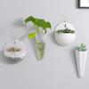 Hydroponic Wall Mounted Flowerpot Flower Vase Lazy Person Plastic Wall Mounted Green Ivy Hanging Flowerpot With Hooks Provided YLE607