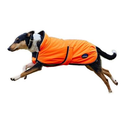 Bekleidung & Schuhe – Regenmäntel für Hunde