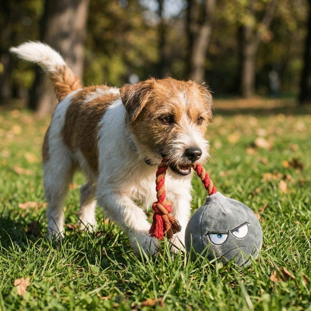 Soft Rope Plush Dog Chew Toy Bite Resistant Pet Toy Ball Squeaky Dog Toy Teething Cleaning
