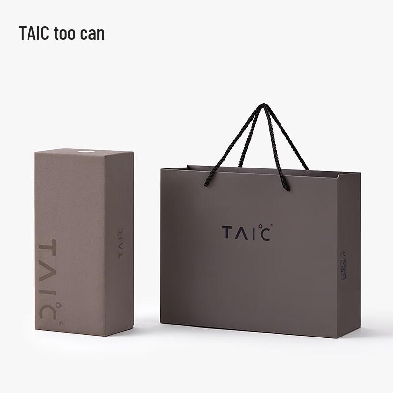 TAIC Pure Titanium Insulated Tea Mug