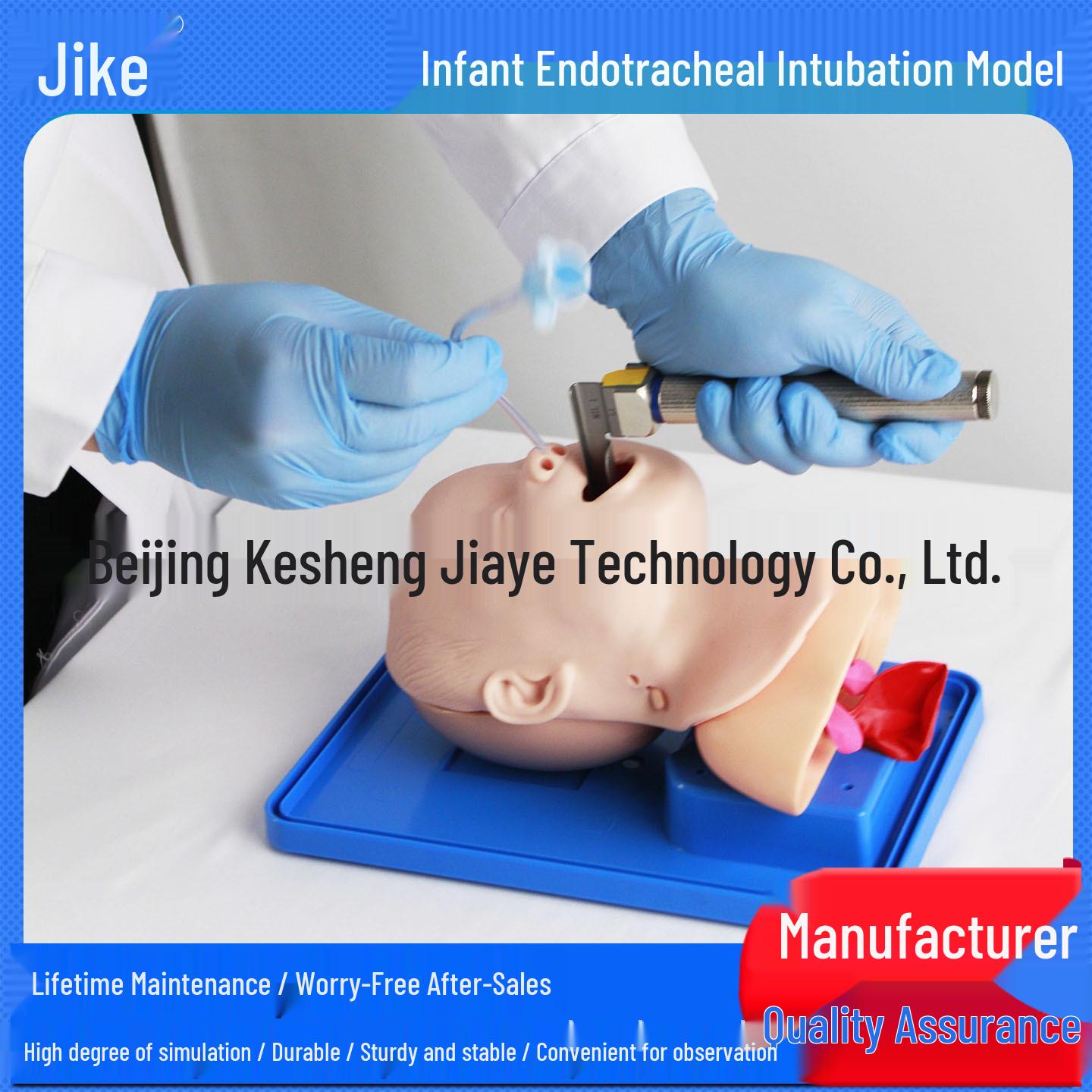 Jike Infant Tracheal Intubation Teaching Manikin Model Experimental