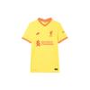 Nike Adv Vapor Liverpool Fc 2021/22 Dri FIT Jersey DB5889-704