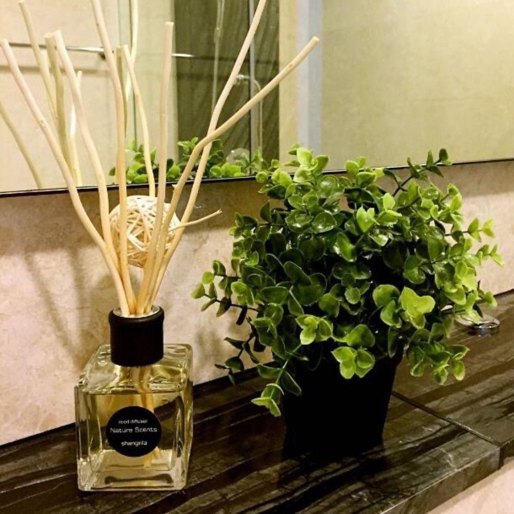 Branches Purifying Air No Fire Rattan Willow Branch Aromatherapy Sticks Dry Branches Aroma Diffuser