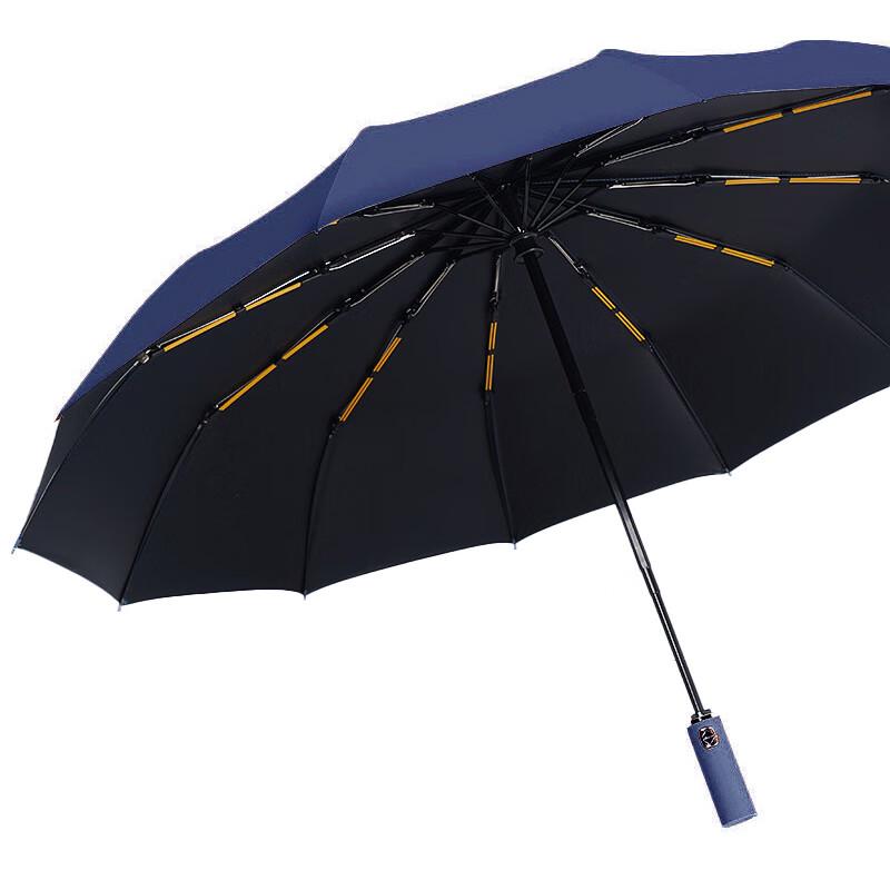Tri-polar 24-Rib Automatic All-Weather Umbrella