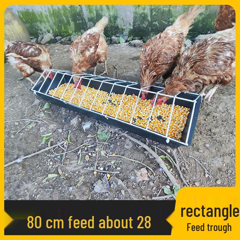Automatic Free-Range Chicken, Duck, and Goose Feeder - Spill-Proof, Durable, and Carefully Designed