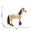 PVC Figurines Horse Animal Model Simulation Wild Life Horse Model  Early Educational