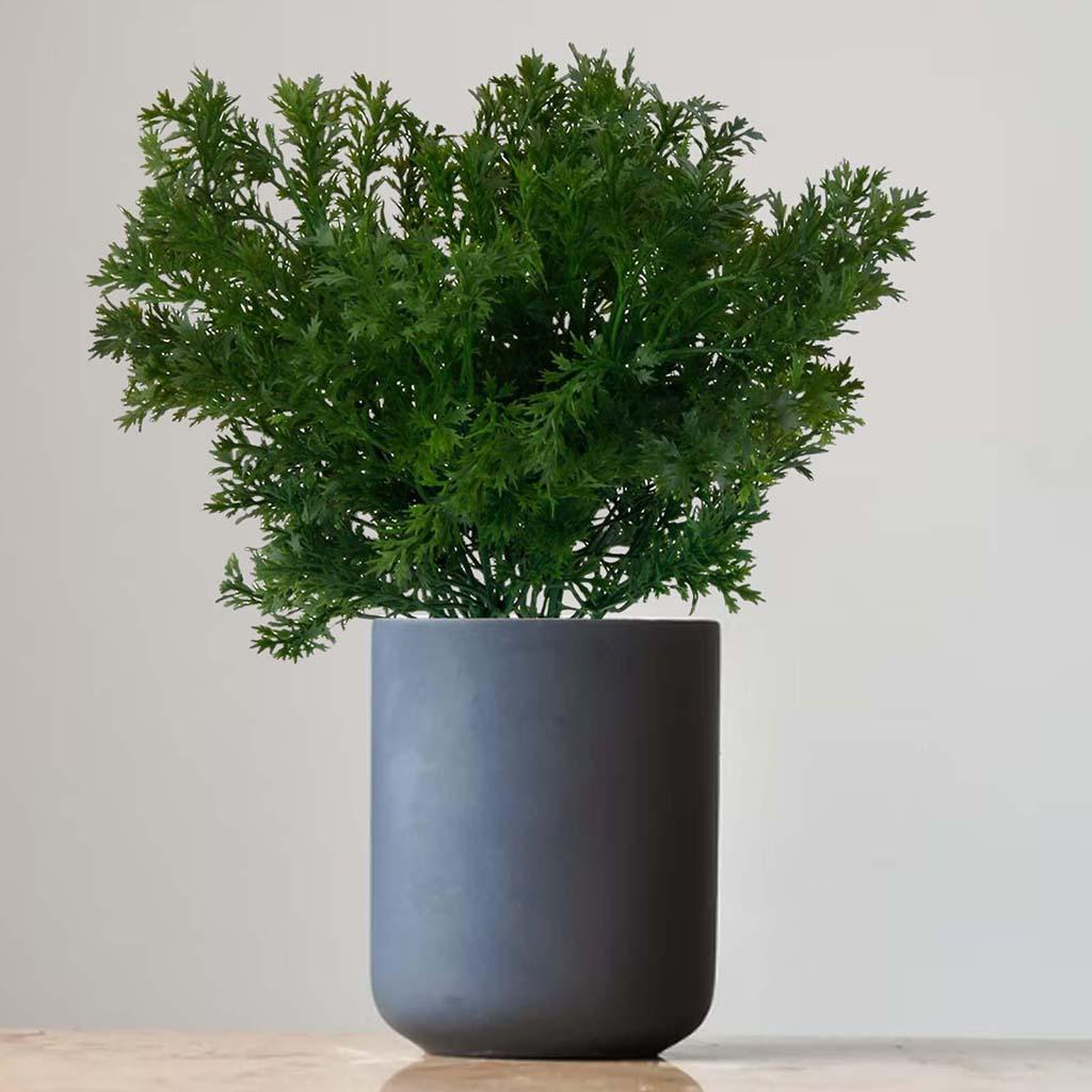 

Green Artificial Fake Small Leaves Plant 6 Branches Parsley Grass зелений