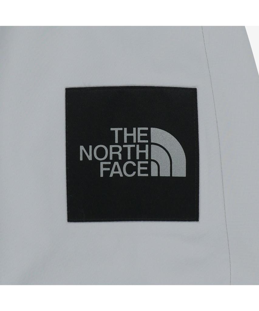 The North Face Nj2Hs02M White Label Foamex 3L Jacket Ice Gray