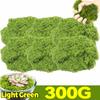 300/30g Artificial Green Moss Eternal Life Moss Grass Mini Landscape Fake Grass DIY Craft Faux Preserved Plant Moss Garden Decor