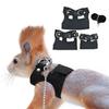 Leather Lizard Traction Rope 3 Sizes Vests Animal Training Walking Vest Leash  Amphibians