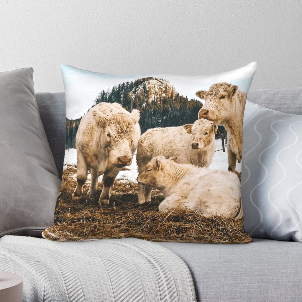 Charolais Cattle Square Pillowcase Polyester Linen Velvet Printed Zip Decorative Throw Pillow Case Car Cushion Cover Wholesale