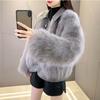 Temperament Imitate Fur Coat Women Young Short Temperament Ladies Autumn And Winter Mao Mao Coats Female Jac