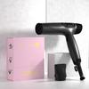 Negative Ion Powerful Power Intelligent Temperature Control Hair Dryer