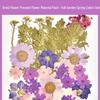 Autumn Dried Flower Bookmark Kit: Transparent Leaf Specimen with Lamination Film Stickers
