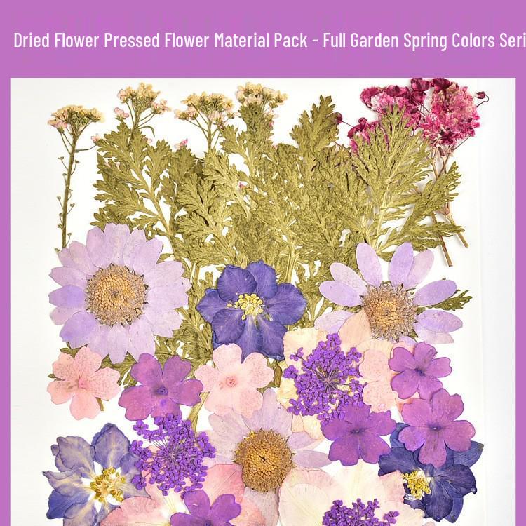 Autumn Dried Flower Bookmark Kit: Transparent Leaf Specimen with Lamination Film Stickers