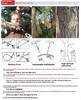 Portable Stainless Steel Wire Saw Portable PVC Pipe Cable Saw Portable Manual Chain Saw Suitable for Hiking Camping Hunting