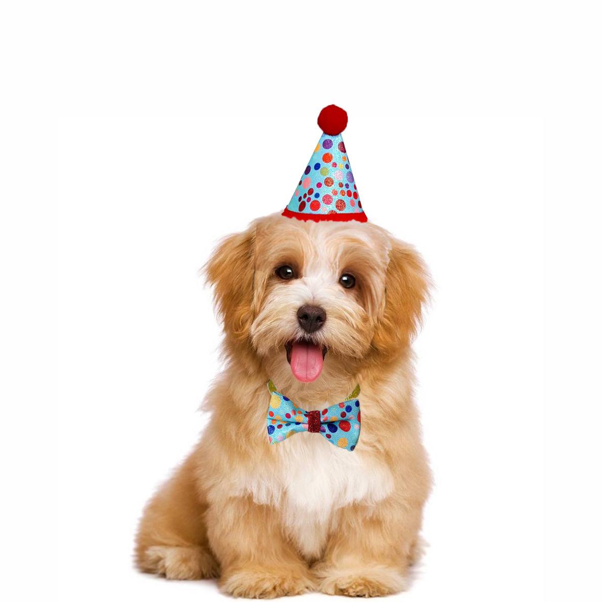 Pet Party Birthday Decorations: Cat & Dog Banner with Hat and Pull Flag