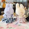 For 15/17cm Labubu V1 V2 Doll Clothing Fashion Hoodie and Pants Set Korean Idol Trendy DIY Doll Clothing Accessories Toy Gift