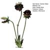 Whimsical Metal Carnivorous Plant Garden Stake 25 Inch Large Venus Flytrap Plant Sculpture Outdoor Decorative Yard Art for Lawn Garden Patio Decor