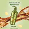 Schwarzkopf Ginger Essence Oil Control Shampoo