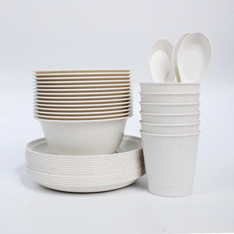 Rice Husk Disposable Bowl & Chopstick Set