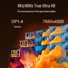 PISEN USB-C to DisplayPort 1.4 Video Cable (8K@60Hz)