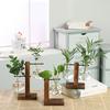 Creative Glass Desktop Planter Bulb Vase Wooden Stand Hydroponic Plant Container Home Tabletop Decor Vases