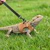 Harnais réglable pour lézard J1UL1N avec laisse de 2 m pour reptiles