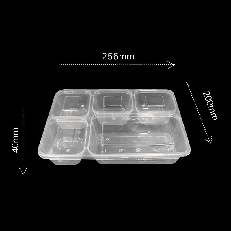WS Disposable 5-Compartment Takeout Lunch Box