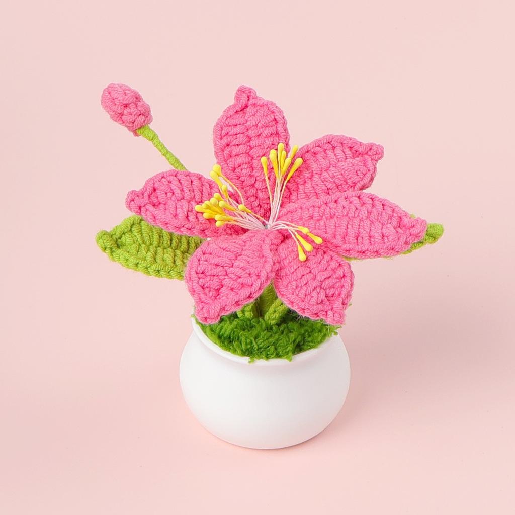 Hand-Knitted Wool Fake Flowers Set: Sunflower, Carnation, Tulip - Desktop Decor, Teacher/Student Gift, Everlasting Bouquet