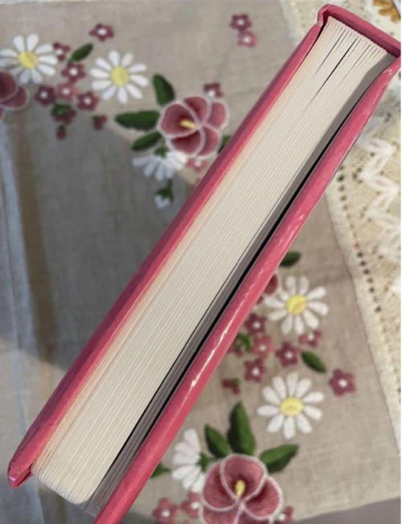 [USED] Fairy Picture Book: Fairies Forever Friendship and Happiness English Picture Book Fairy