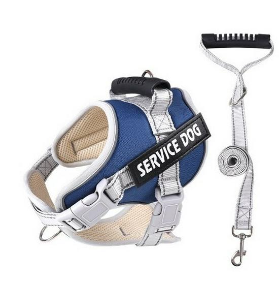 Reflektierende Atmungsaktive Hundeleine & Geschirr - Explosionsgeschütztes Design