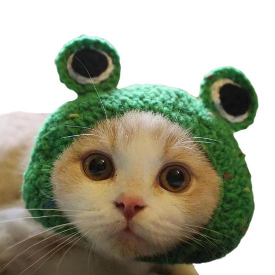 Cat Hat Pets Knitted Cosplay Hat Halloween Christmas Party Costume Headwear Dress-up Accessories for Puppy Cat Kitten