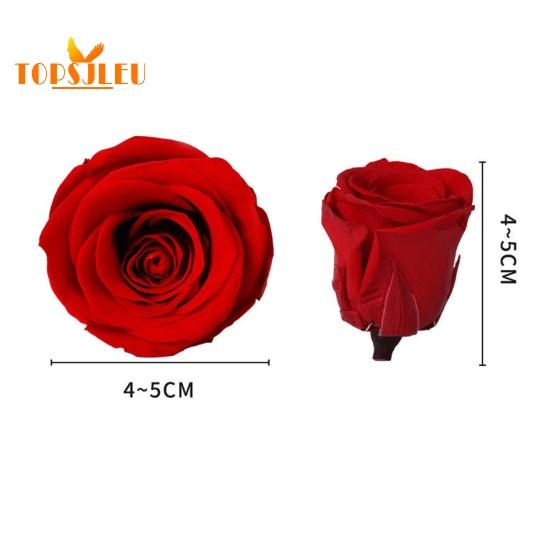 8Pcs Eternal Rose Flowers,Vibrant Color,Natural-Looking Forever Blossom,Handmade Preserved Flower Rose Ornament
