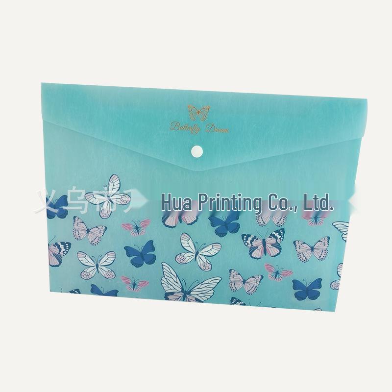 A4 Transparente Kunststoff-Dokumententasche mit Druckknopf und UV-Druck